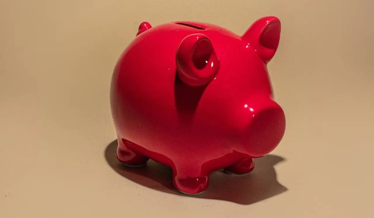 স্বল্প উপার্জন সঞ্চয়ের পরিকল্পনা