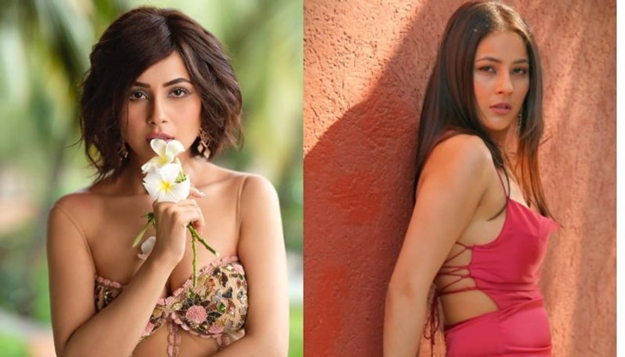 shehnaaz gill shehnaaz gill