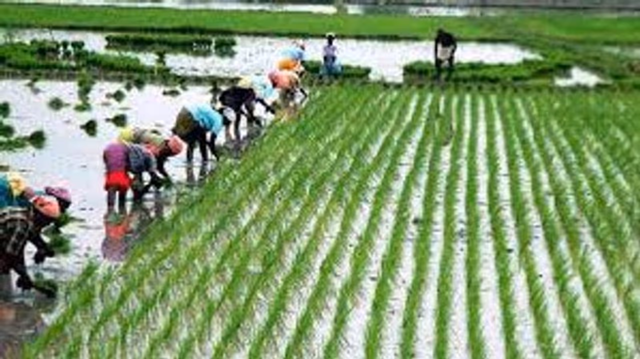 aadi perukku 2022 aadi perukku 2022