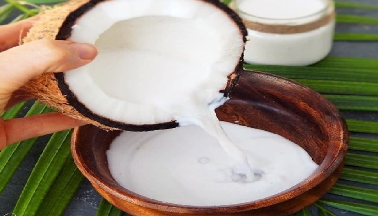 World Coconut Day 2022: World Coconut Day 2022: