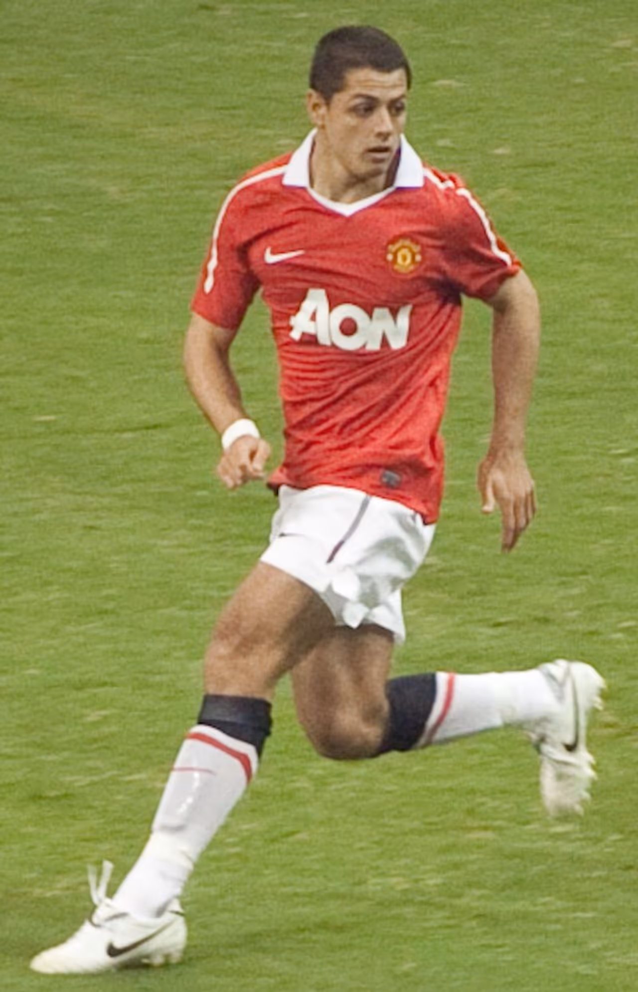 Image credit: Wikimedia Commons Image credit: Wikimedia Commons