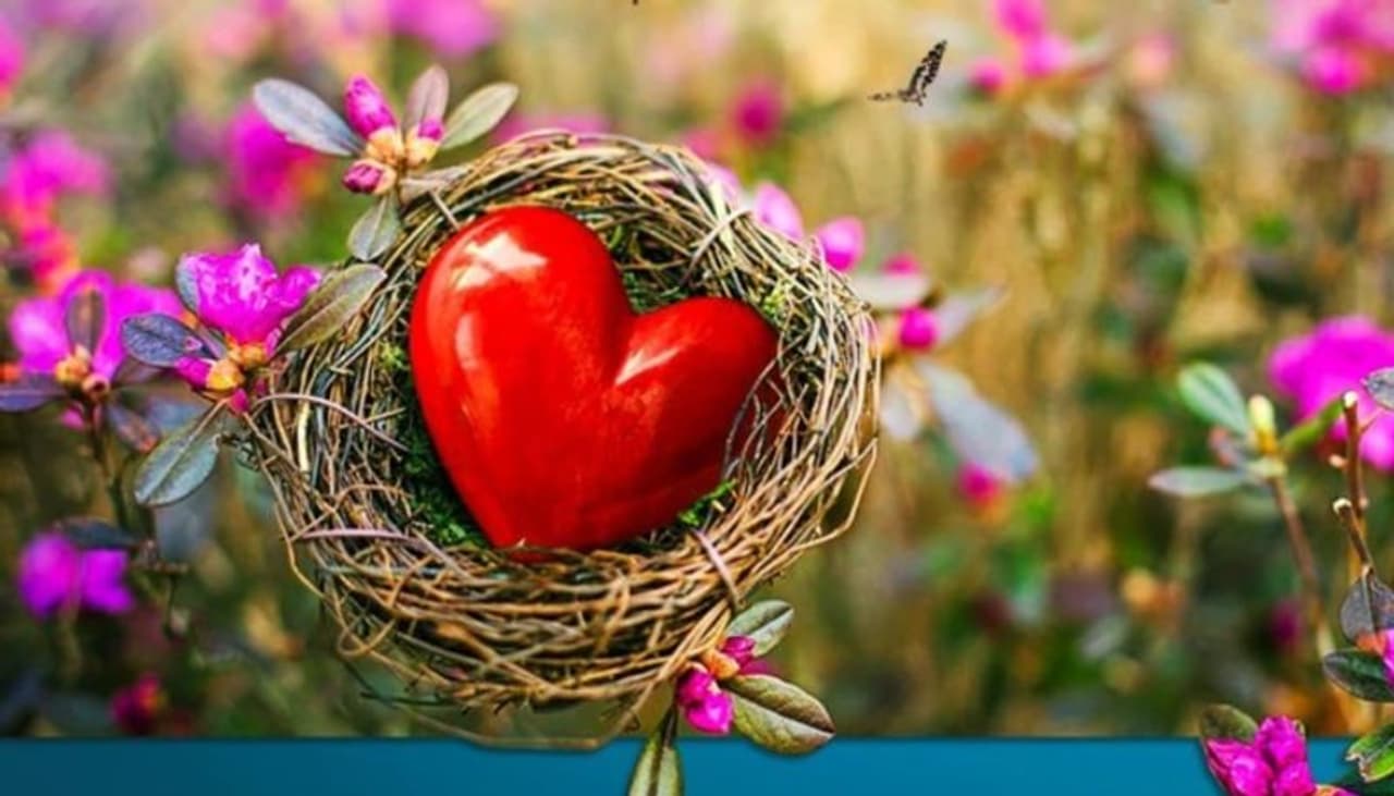 World Heart day theme 2024 World Heart day theme 2024