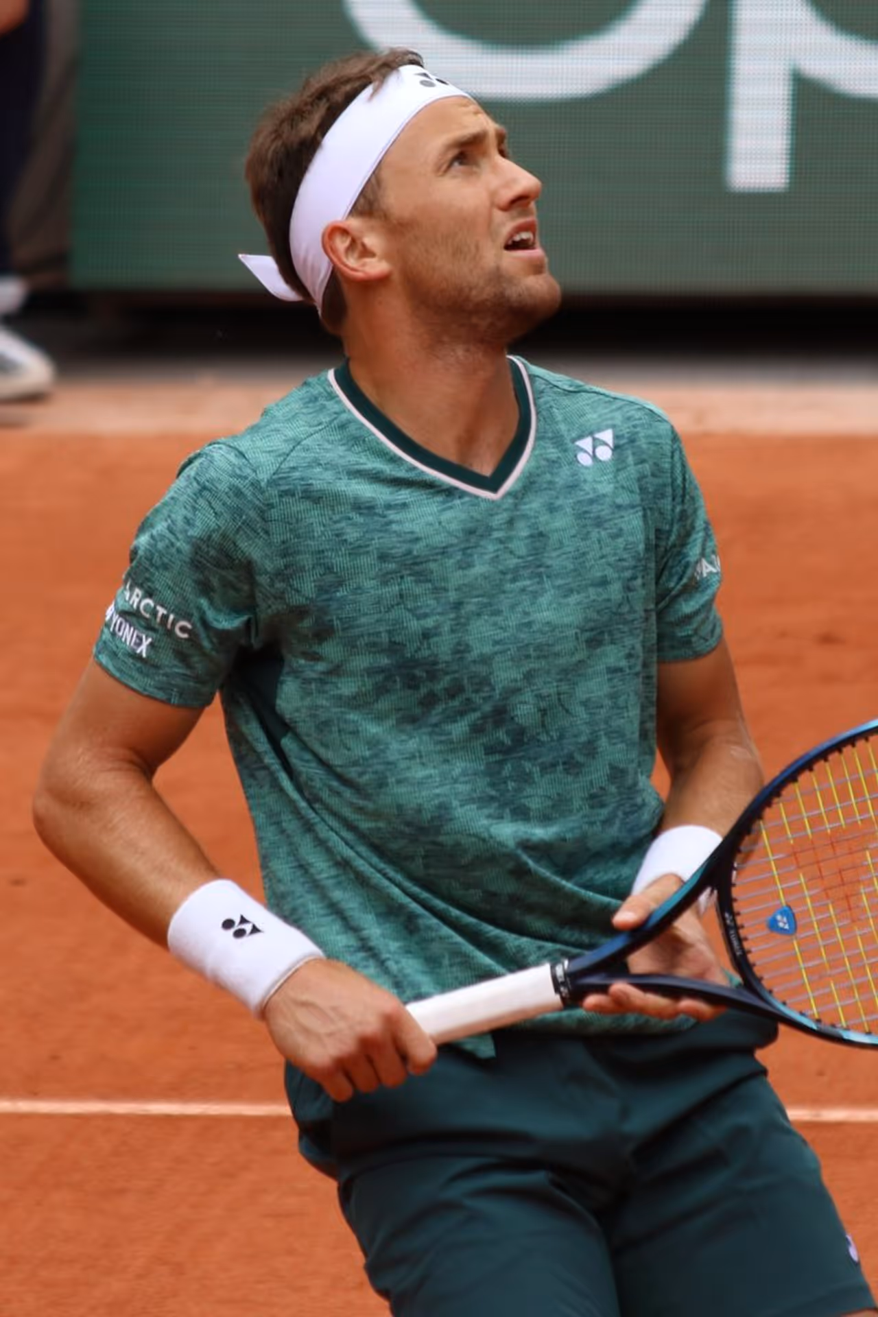 Image credit: Wikimedia Commons