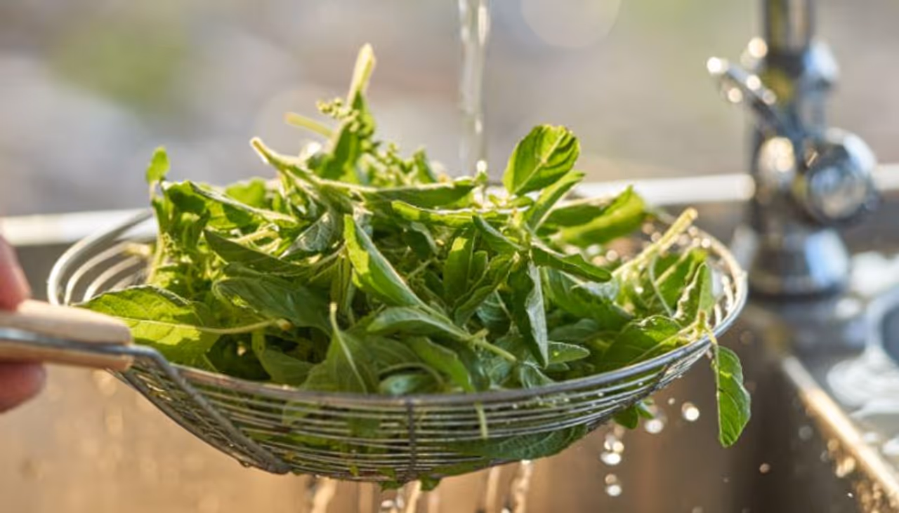 leafy vegetables leafy vegetables