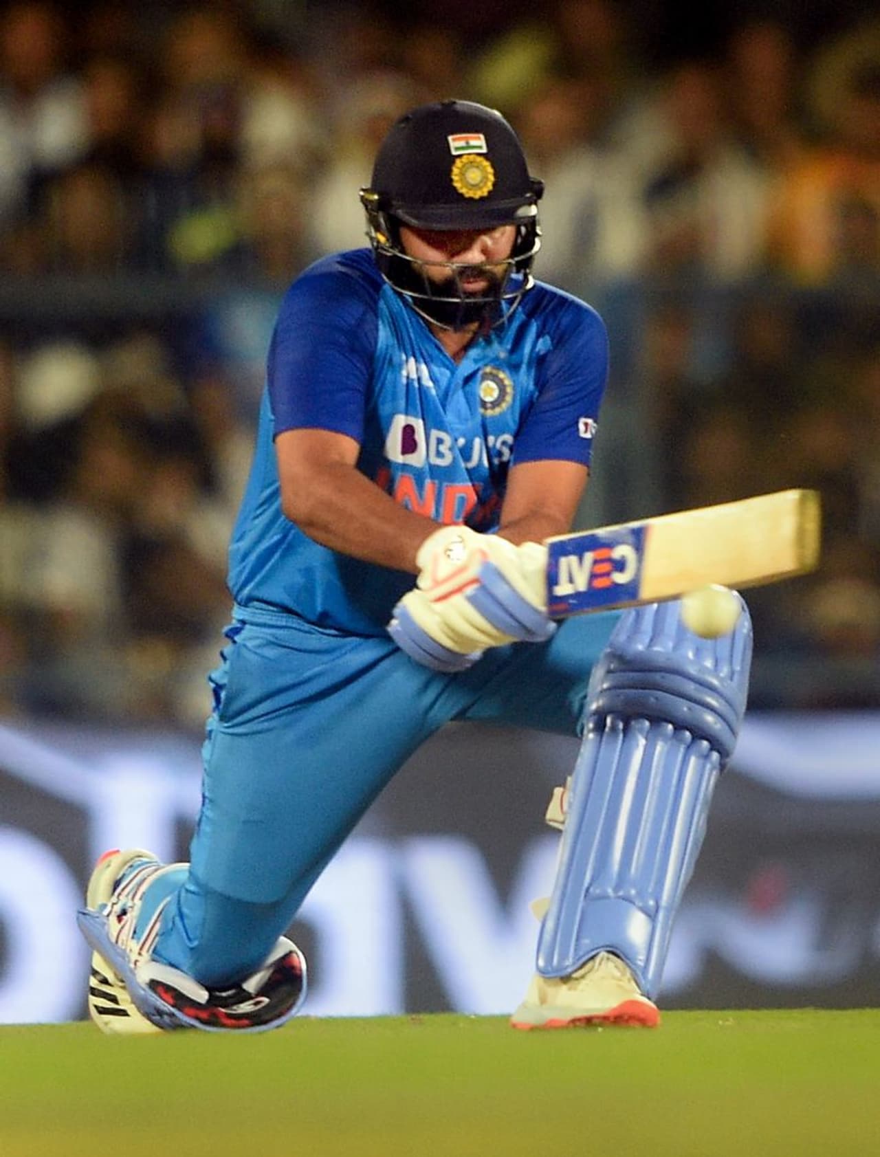 Image credit: PTI Image credit: PTI