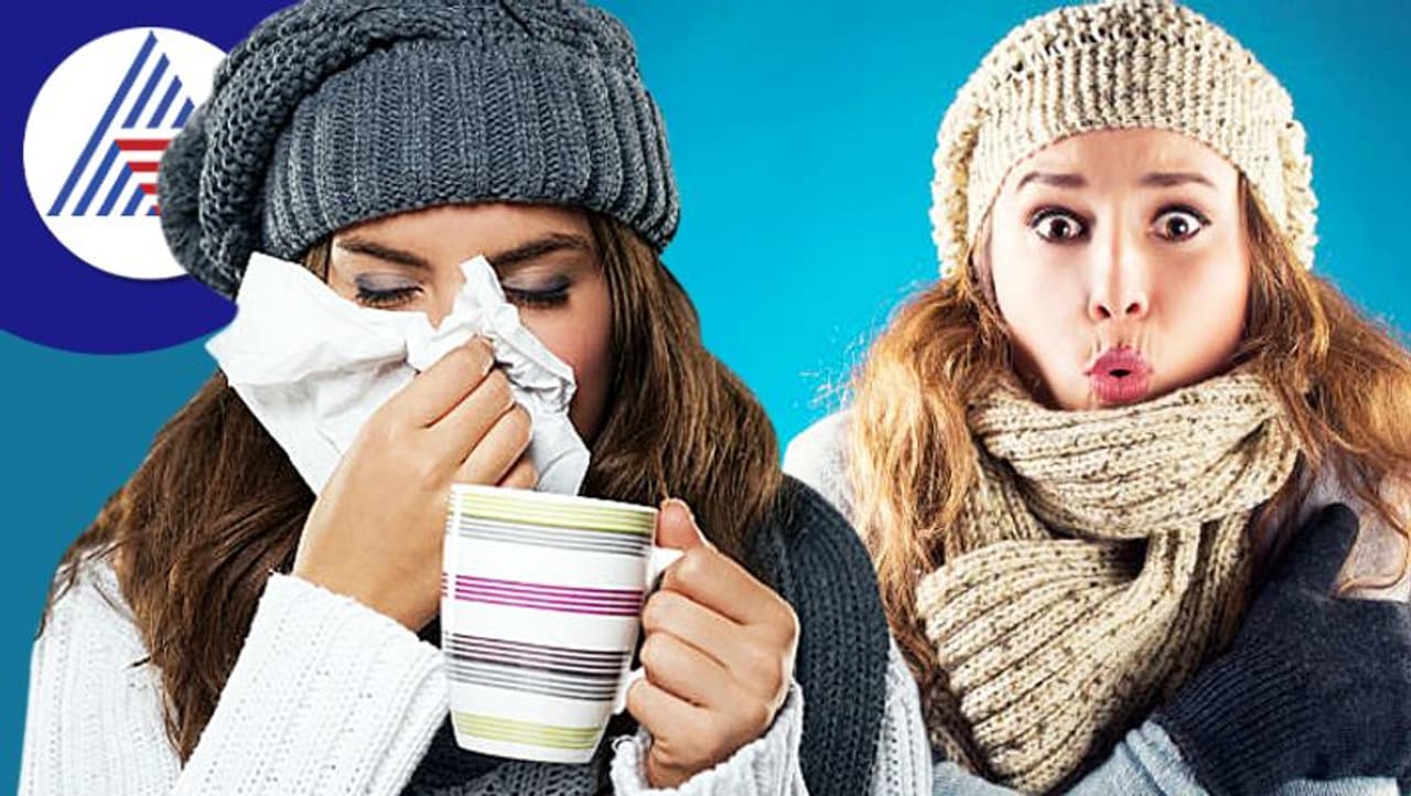 Health Tips What is the reason why one person gets cold more than another Health Tips What is the reason why one person gets cold more than another