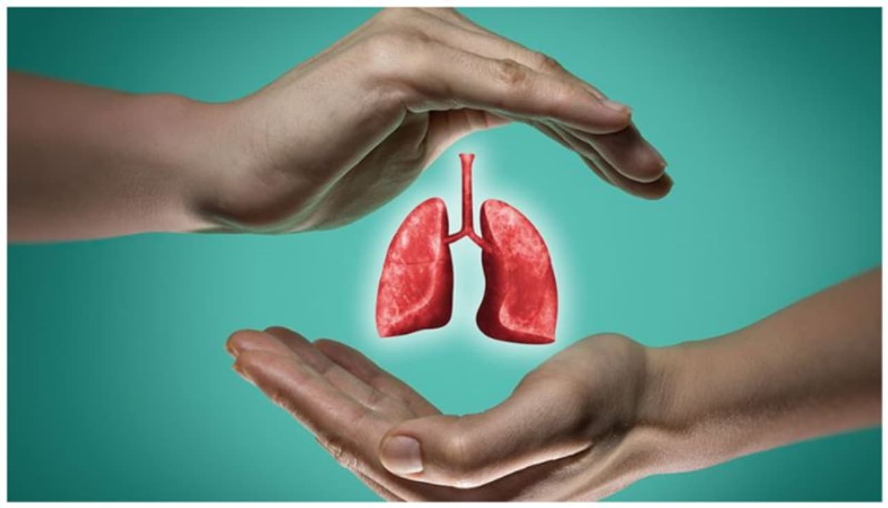 lungs health lungs health