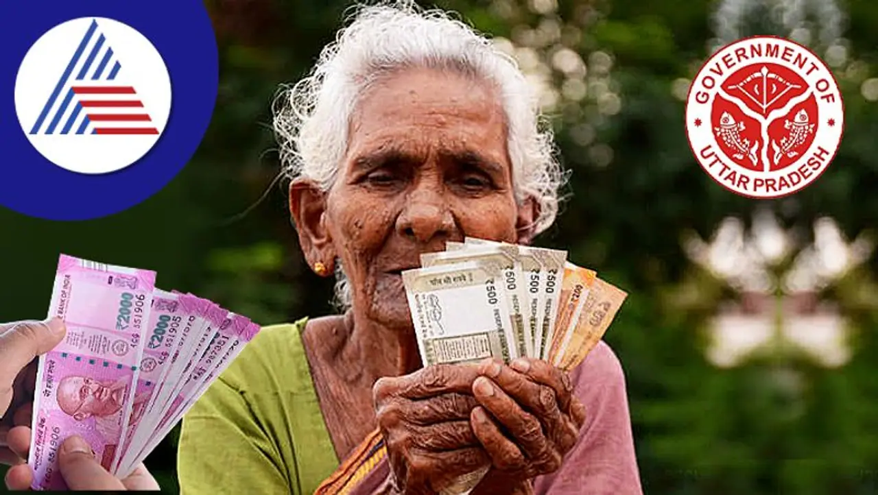 Government Schemes Government provides pension to senior citizens under this scheme
