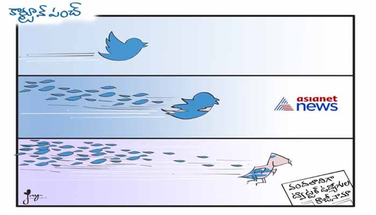 Cartoon Punch On mass resignations in Twitter Cartoon Punch On mass resignations in Twitter