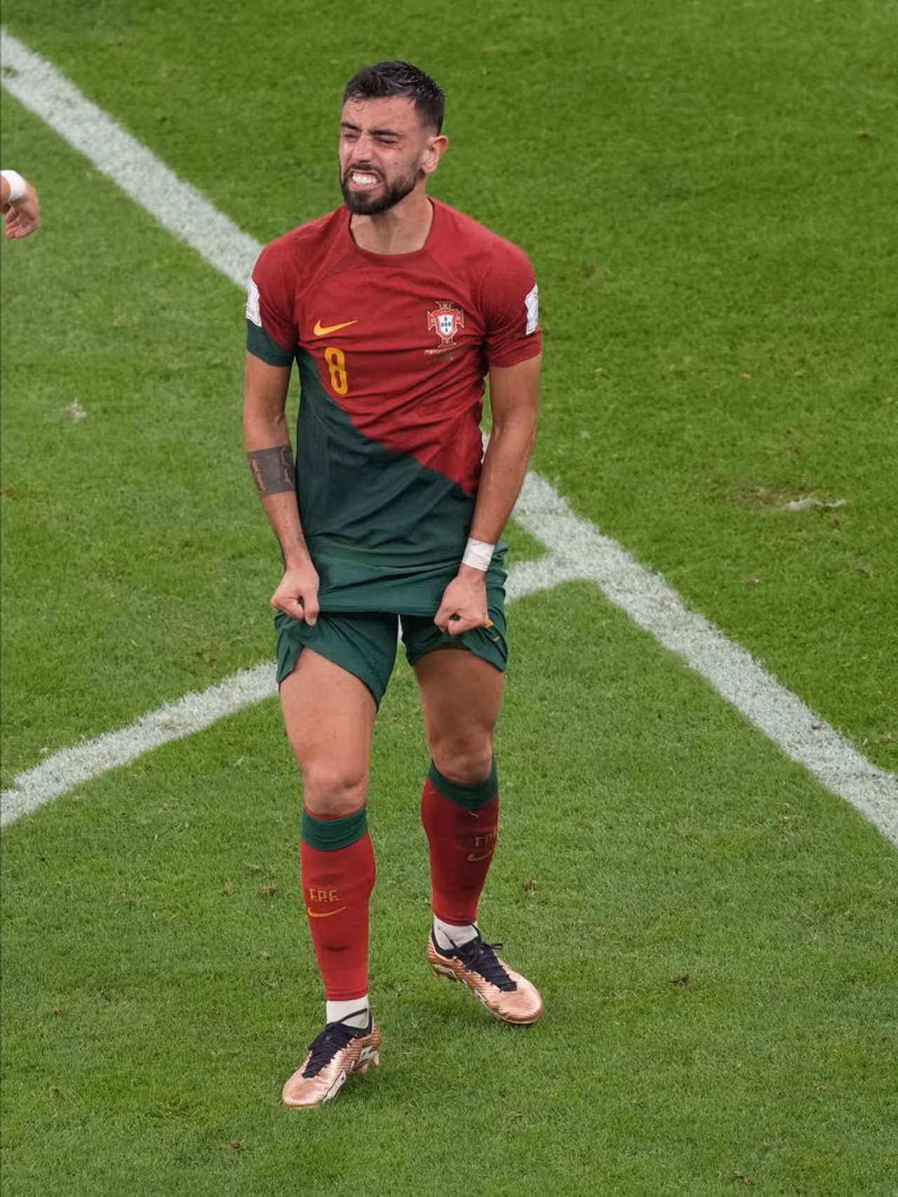 Image Credit: Getty Images Image Credit: Getty Images