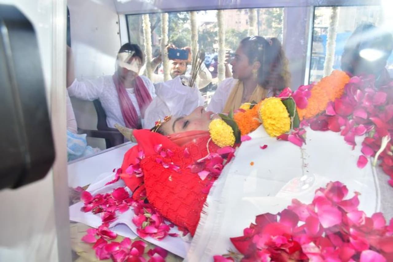 துனிஷா சர்மா: துனிஷா சர்மா: