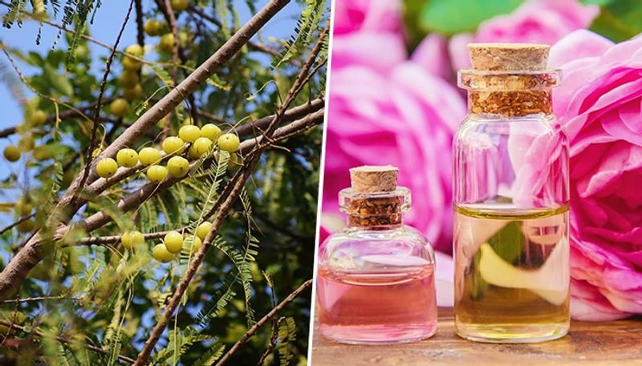 Image: Getty Images Image: Getty Images