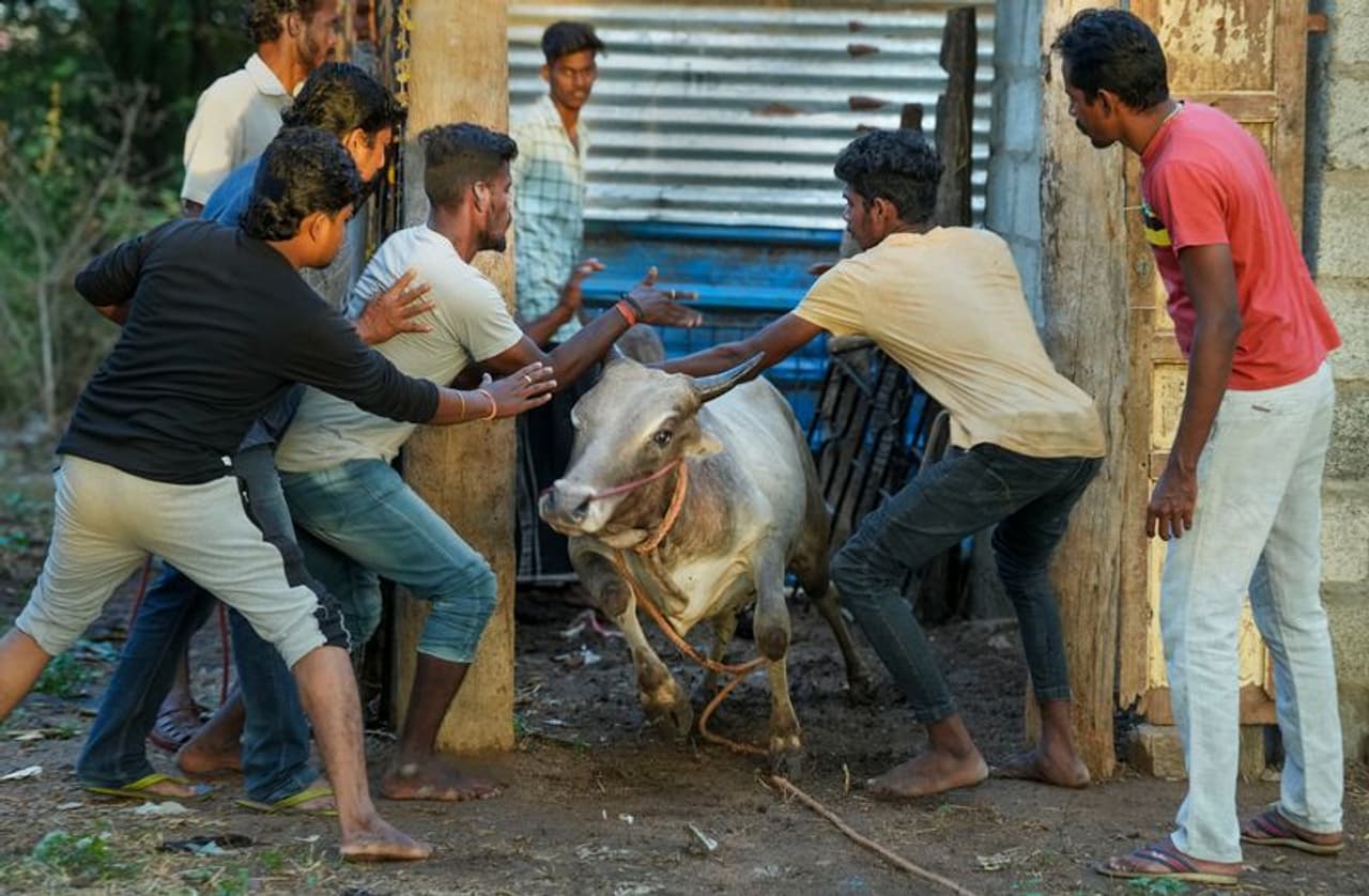 மதுரையின் அடையாளம்