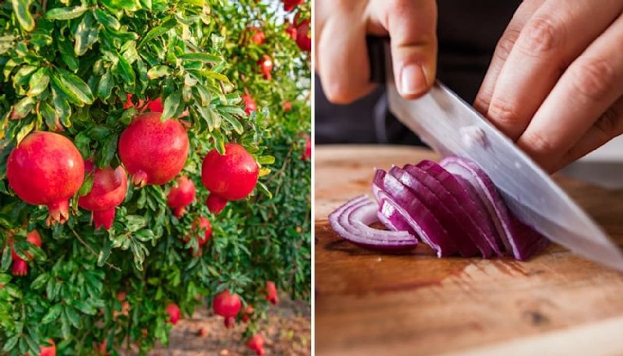 Image: Getty Images Image: Getty Images