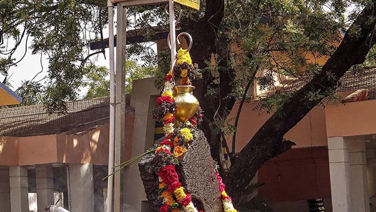 साल की पहली शनिश्चरी अमावस्या 21 जनवरी को साल की पहली शनिश्चरी अमावस्या 21 जनवरी को