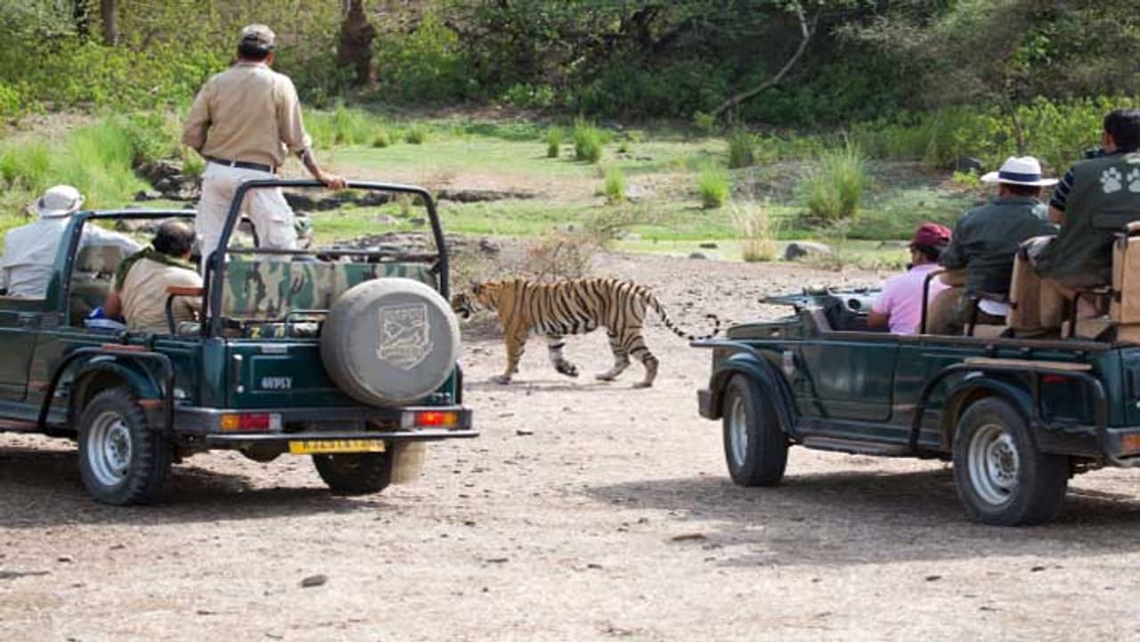 रणथंभौर नेशनल पार्क रणथंभौर नेशनल पार्क