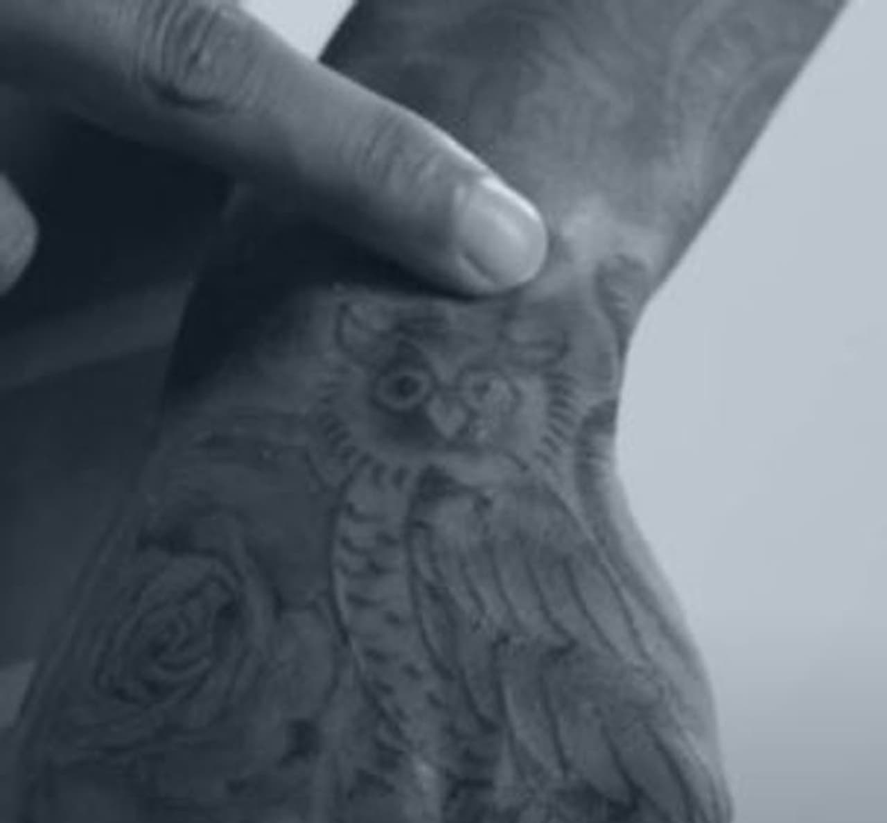 ஆந்தை ஆந்தை