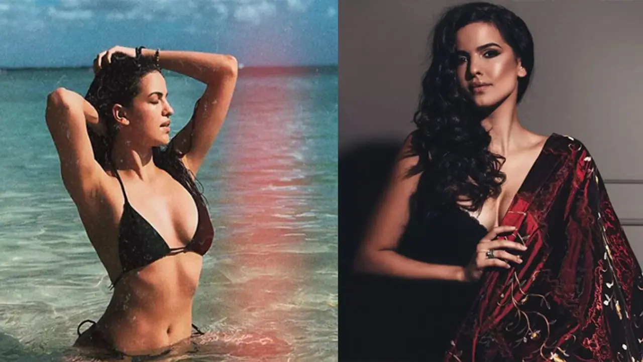 স্ত্রী নাতাশা স্ট্যানকোভিচকে ফের বিয়ে করতে চলেছেন হার্দিক পান্ডিয়া