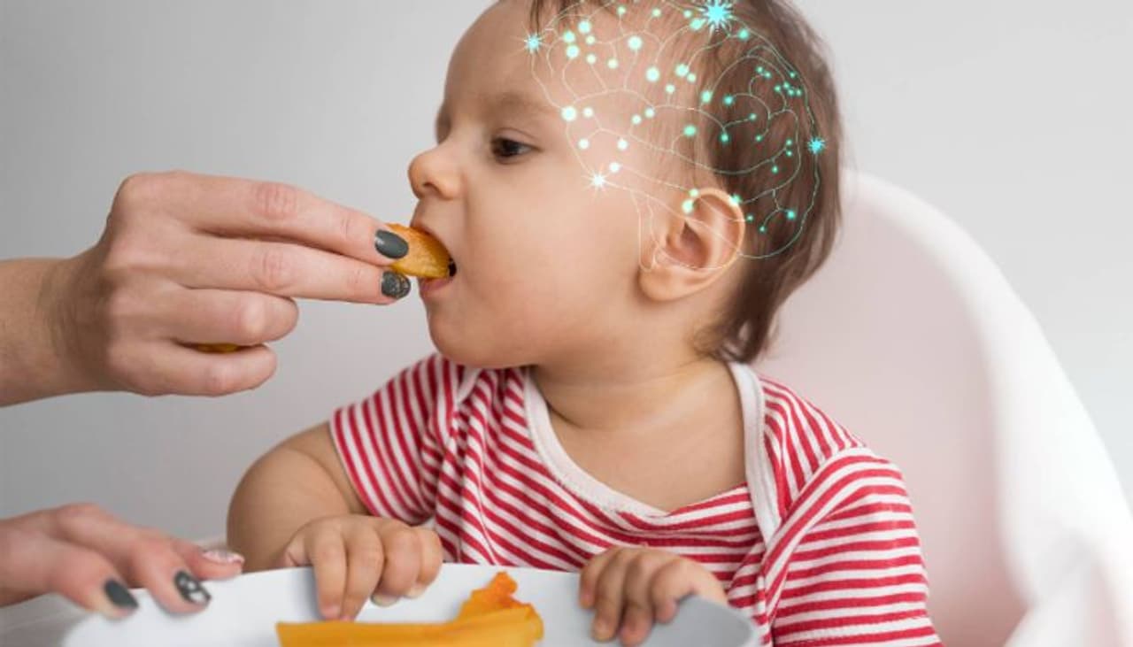 brain food brain food