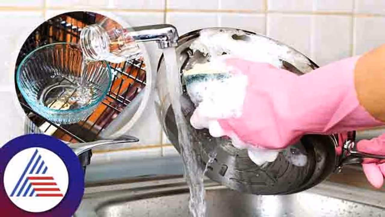 সাবান, ডিশ ওয়াশের পরিবর্তে বাসন মাজার জন্য কী ব্যবহার করতে পারেন? সাবান, ডিশ ওয়াশের পরিবর্তে বাসন মাজার জন্য কী ব্যবহার করতে পারেন?