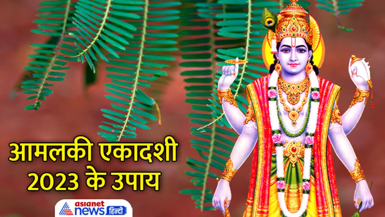 आमलकी एकादशी पर करें ये उपाय...