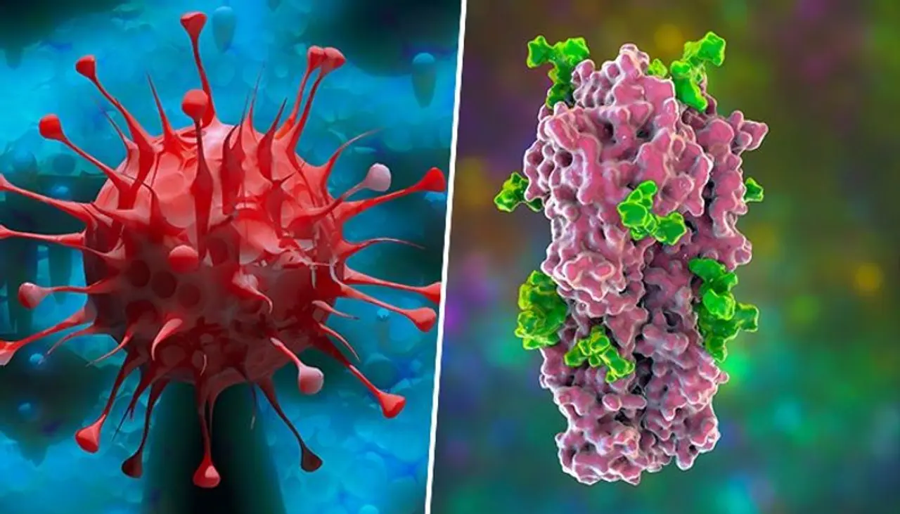 Image: Getty Images Image: Getty Images