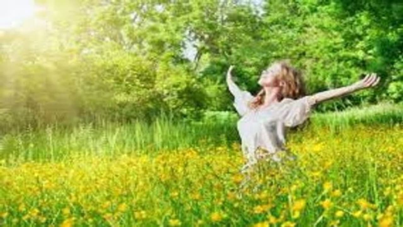 you can come to street from the money plant