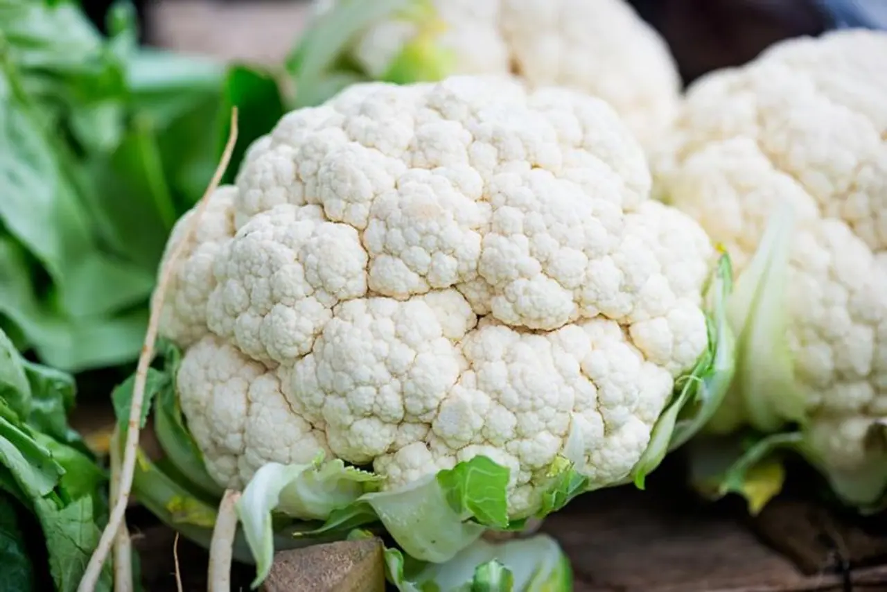 cauliflower cauliflower