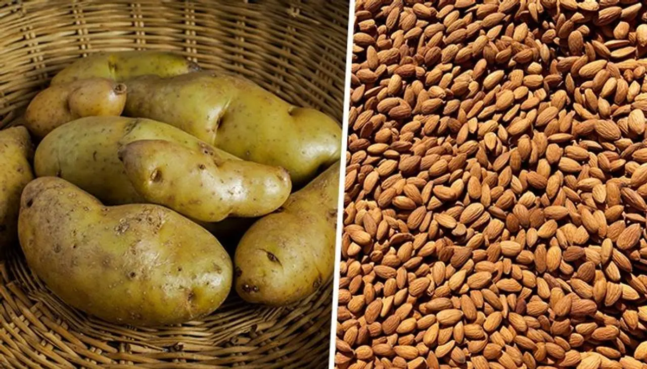 Image: Getty Images Image: Getty Images