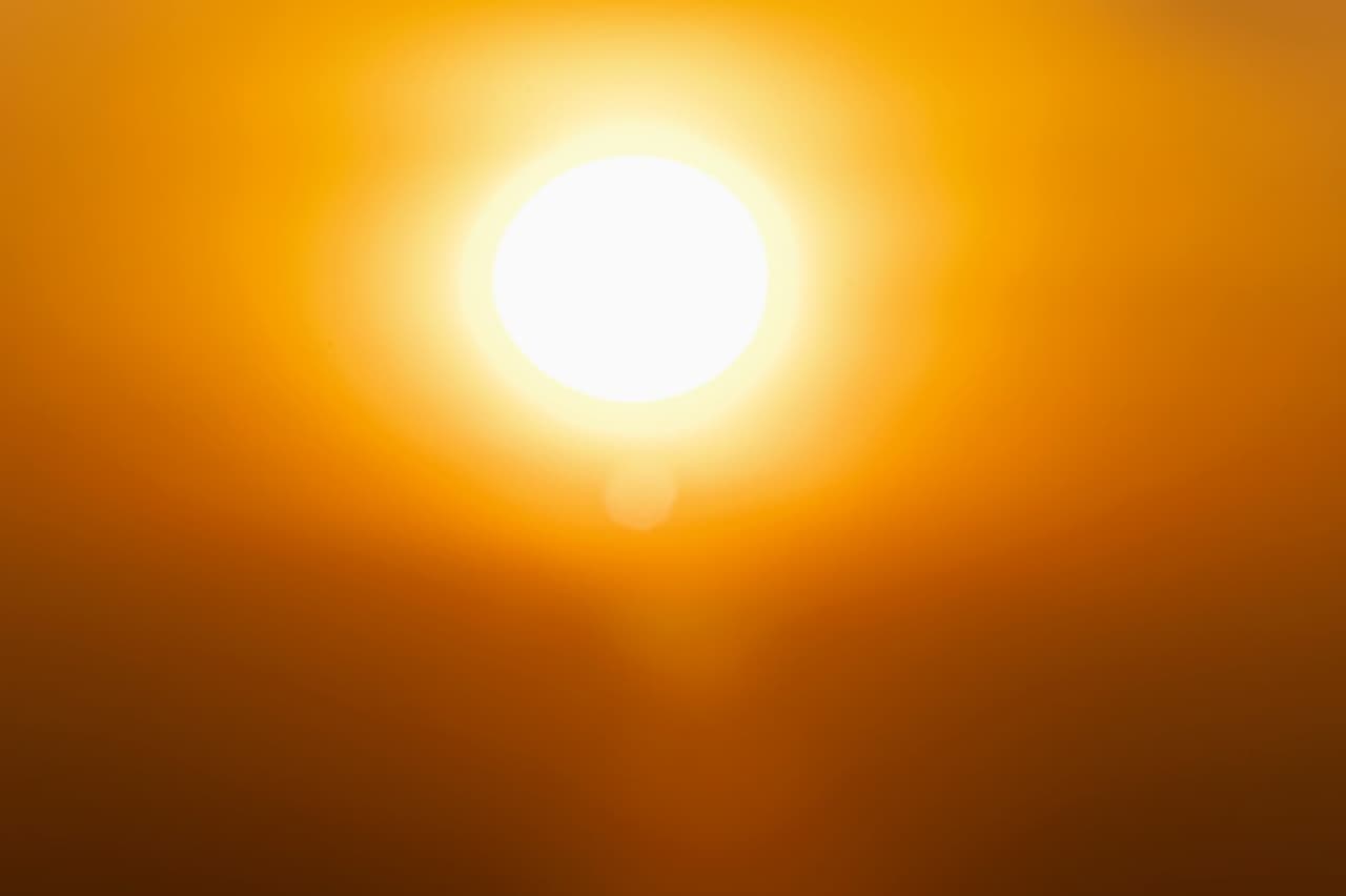 সকাল থেকেই ভ্যপসা গরম সকাল থেকেই ভ্যপসা গরম