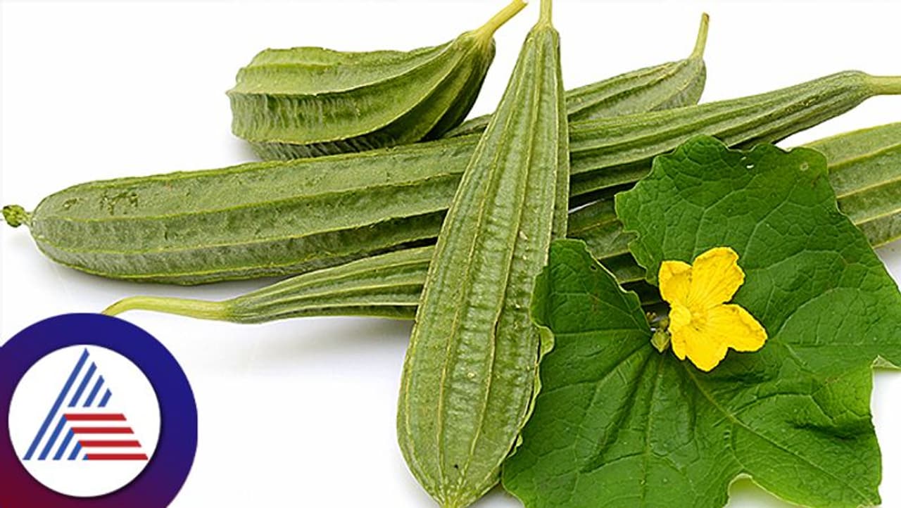 Ridge Gourd Ridge Gourd