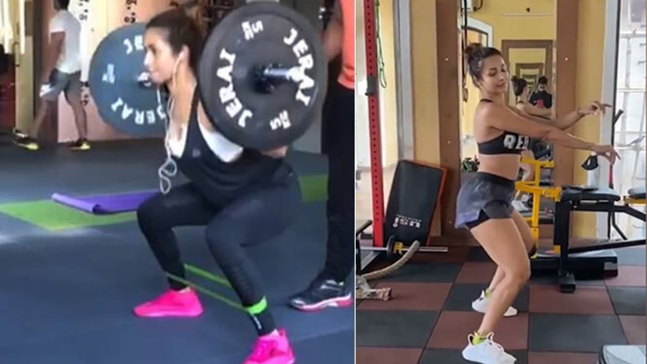 स्क्वाट्स