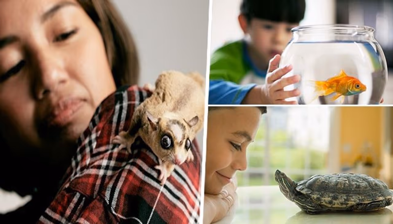 Getty Photos Getty Photos