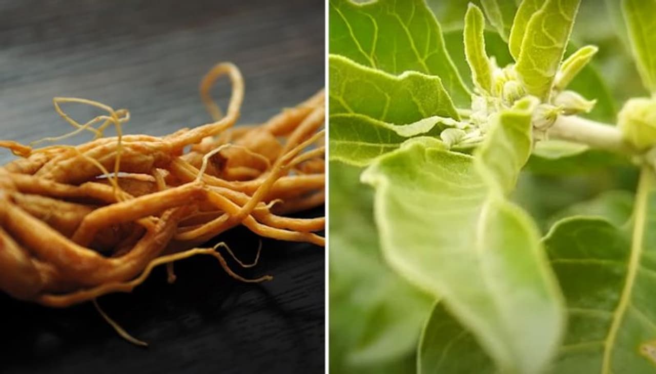 Image: Getty Images, Youtube Video Still Image: Getty Images, Youtube Video Still