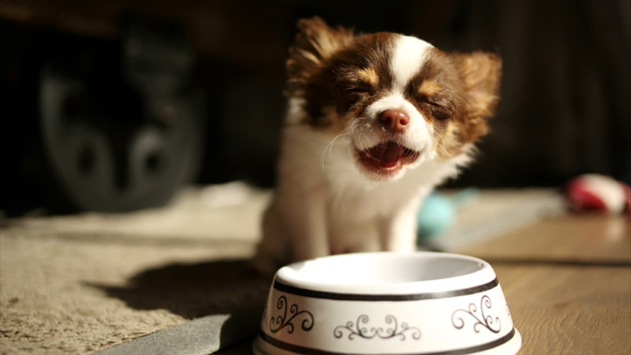 हाइड्रेशन