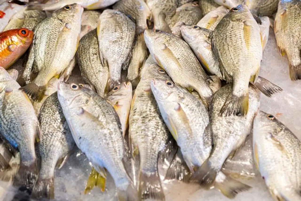 Image: Getty Image: Getty