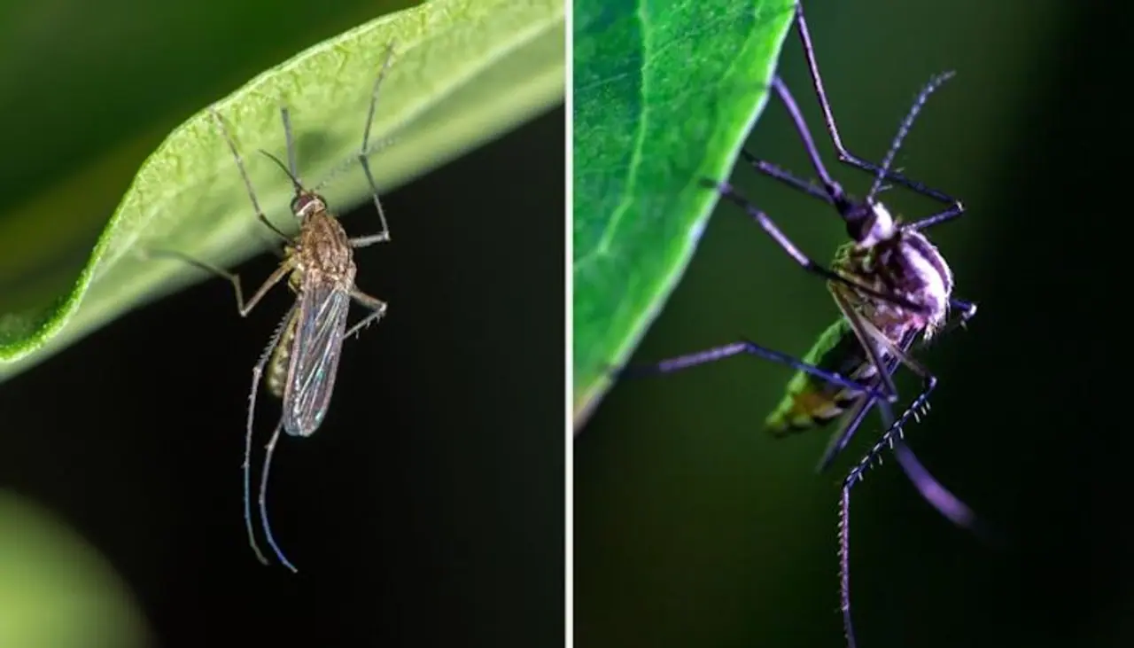 Image: Getty Images Image: Getty Images