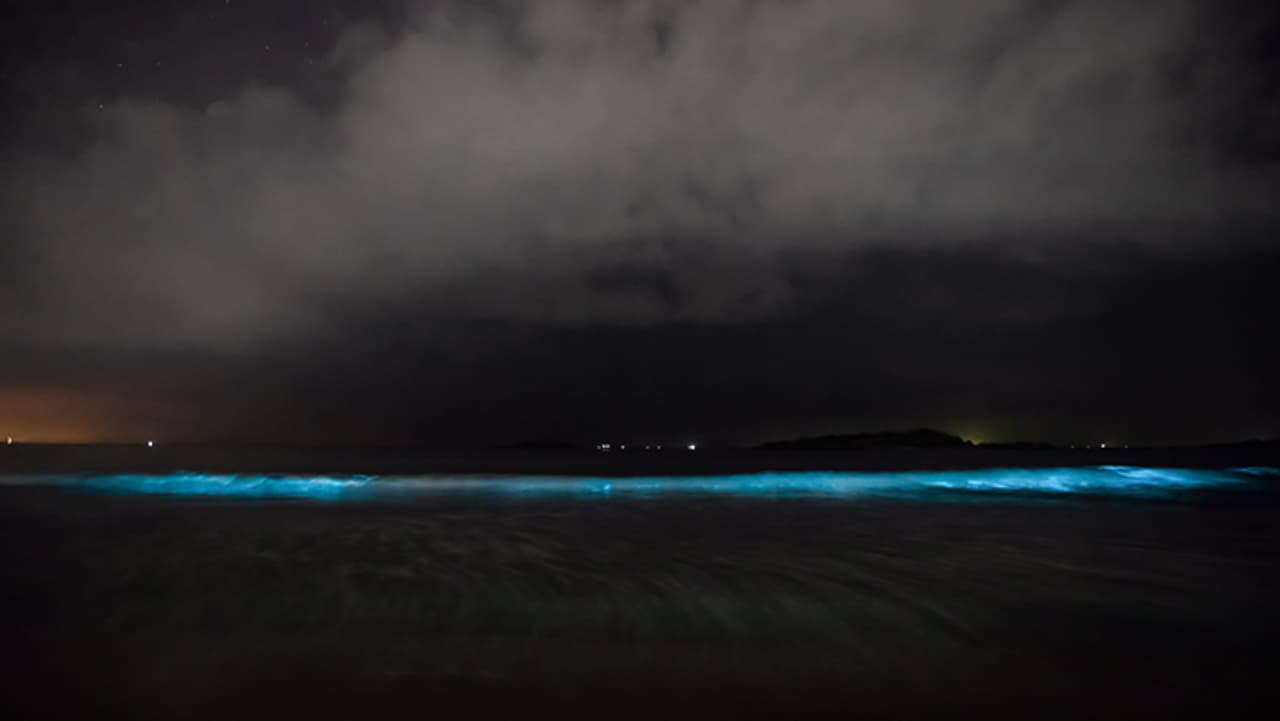 मालवण बीच, महाराष्ट्र मालवण बीच, महाराष्ट्र