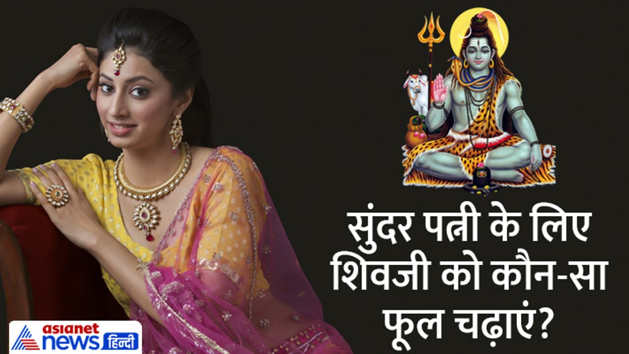  महेश नवमी के उपाय...