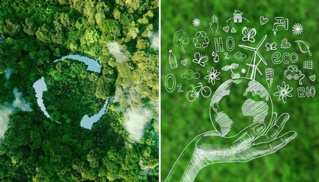 Image: Freepik Image: Freepik