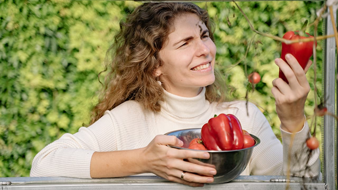 ब्लड शुगर लेवल कंट्रोल करेंगी 5 सब्जियां ब्लड शुगर लेवल कंट्रोल करेंगी 5 सब्जियां