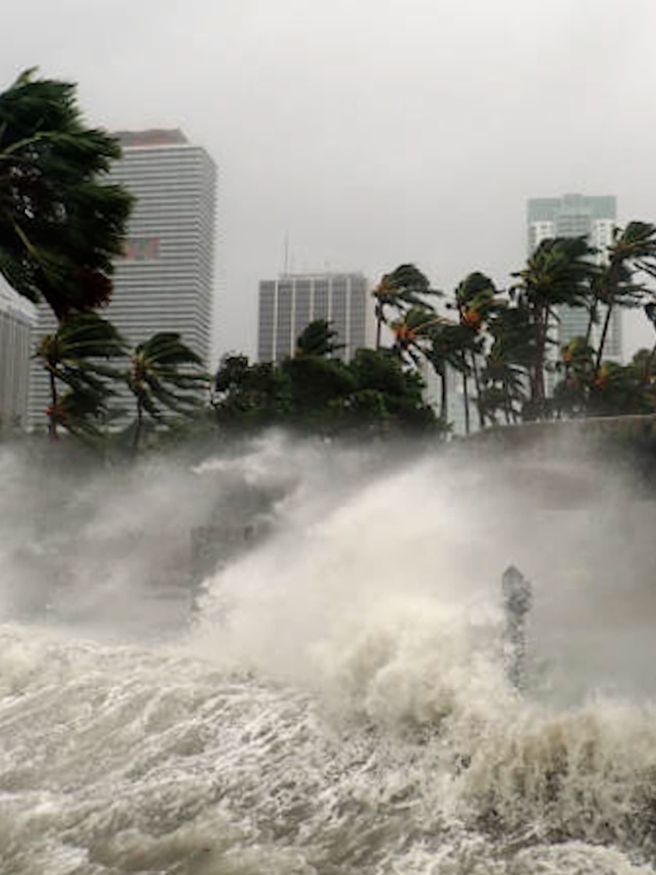 বিপর্যয়ের কারণে থমকে বর্ষা বিপর্যয়ের কারণে থমকে বর্ষা