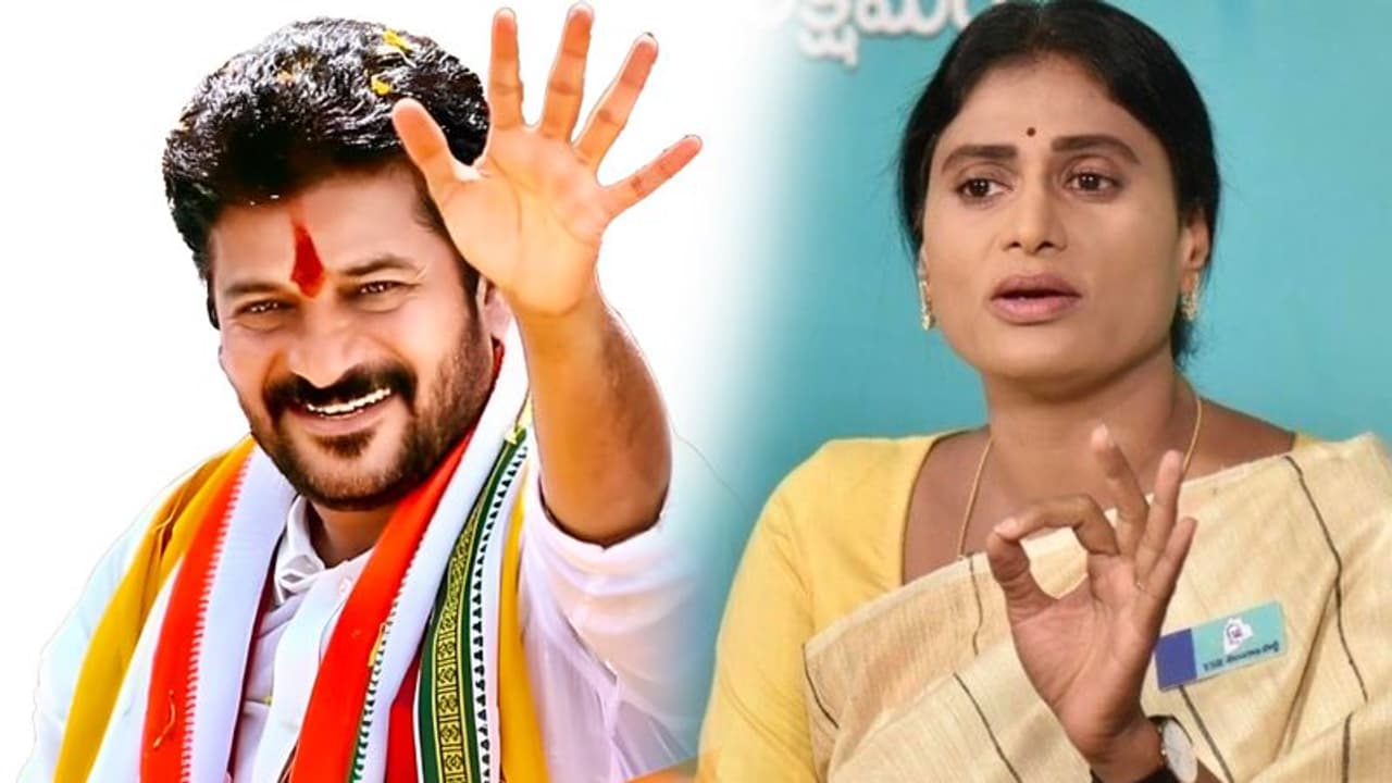 Revanth reddy , sharmila