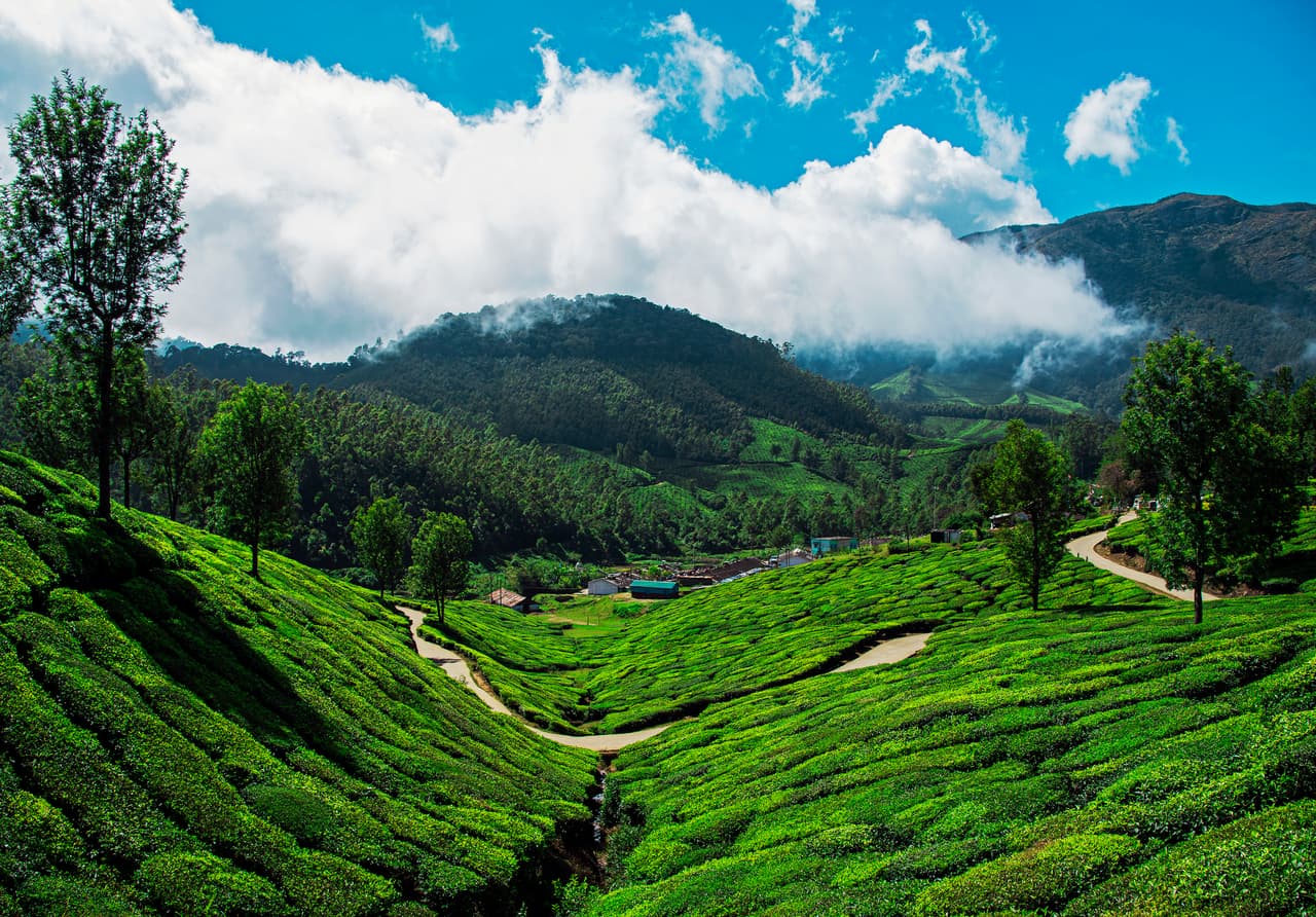 মুন্নার মুন্নার