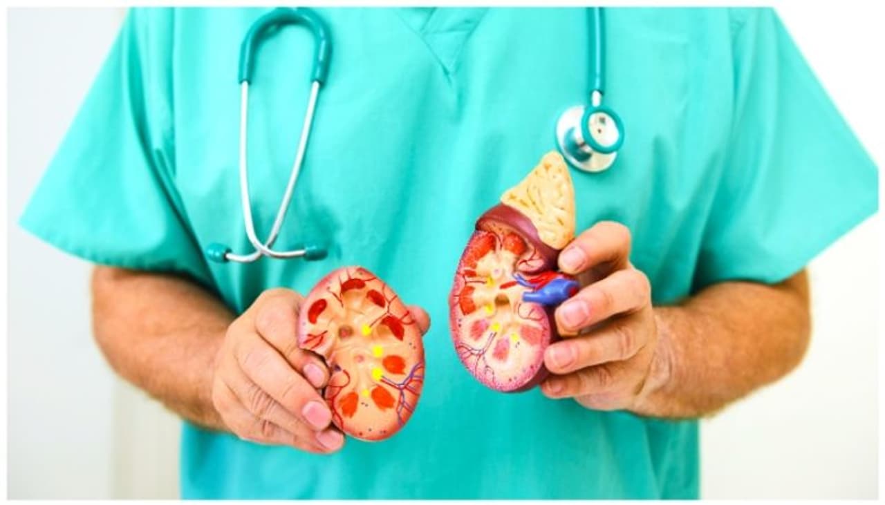 কিডনির সমস্যা কিডনির সমস্যা