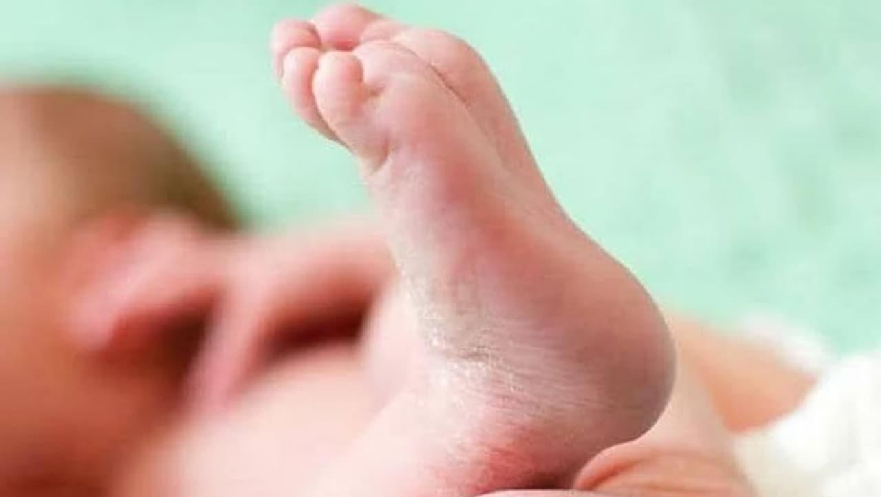 vellore jail vellore jail