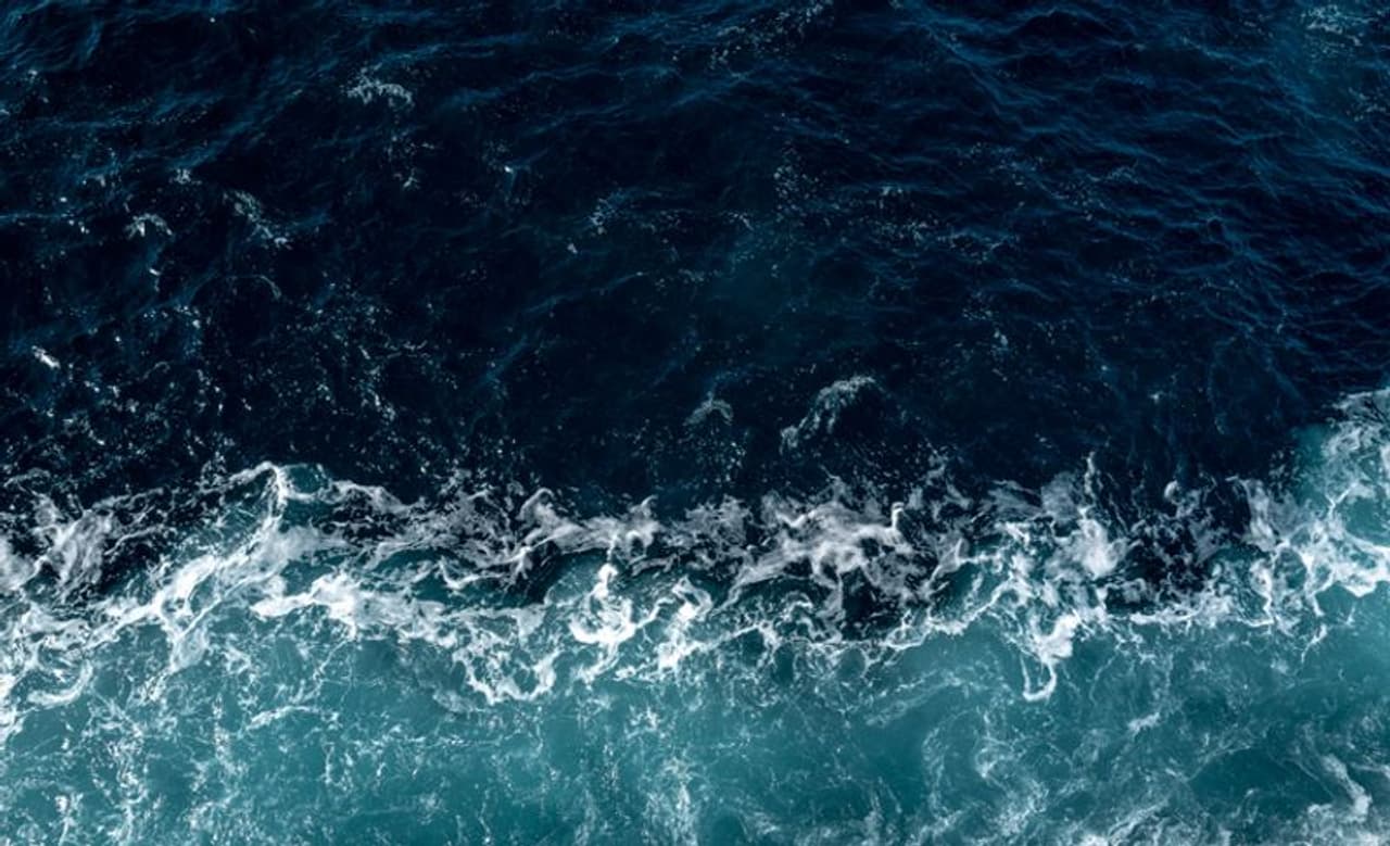 অবাক করা আবিষ্কার অবাক করা আবিষ্কার