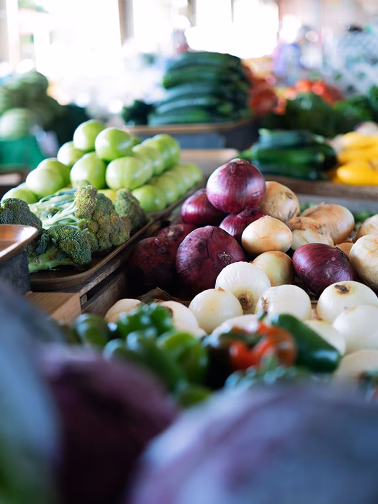 Vegetables Price Today
