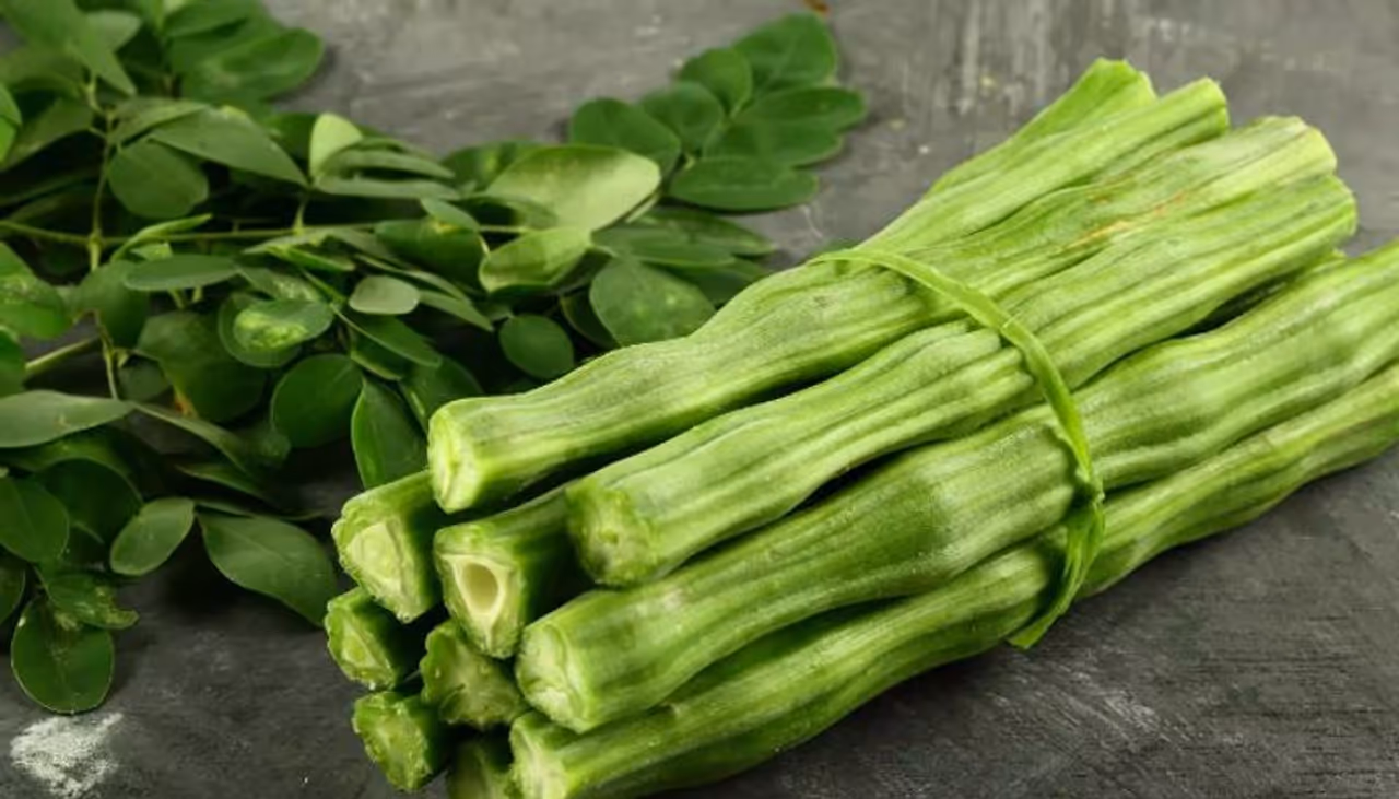 moringa leaves drumstick