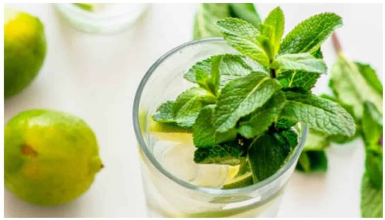 mint leaves mint leaves